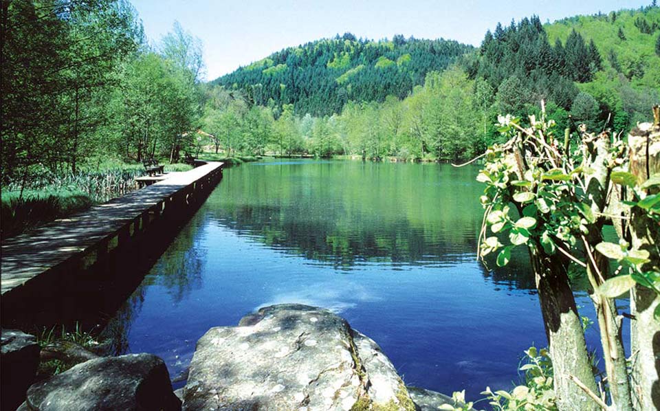 Helmbachweiher