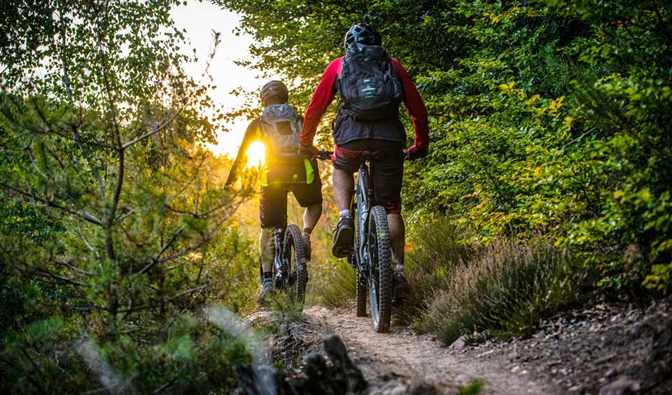 MTB im Pfälzerwald