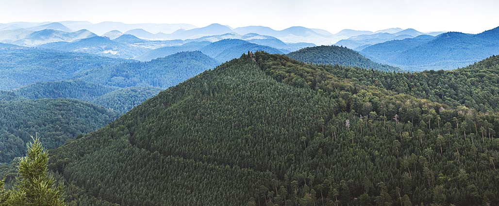 Die Hauptstraße: Elmstein bei Hierzuland im SWR-TV