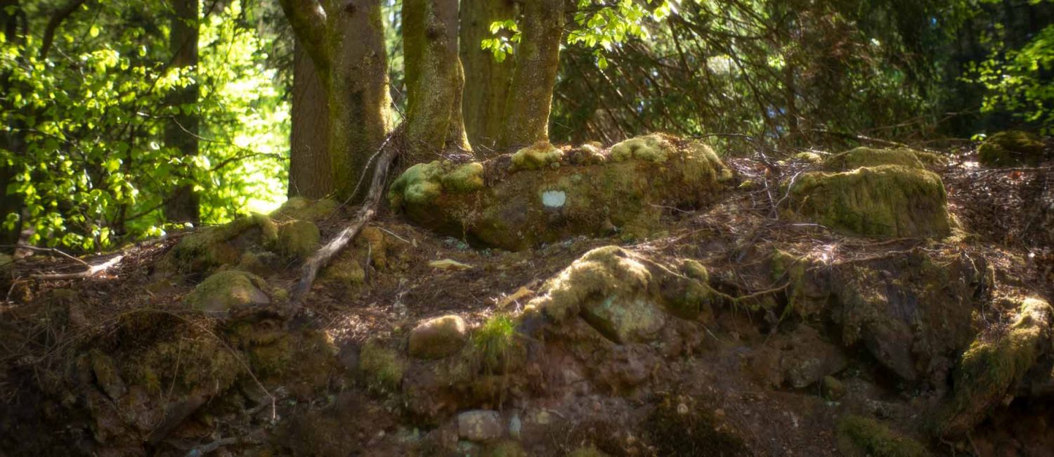 Elmstein für fünf Minuten